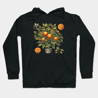 Orange Vintage Botanical Hoodie